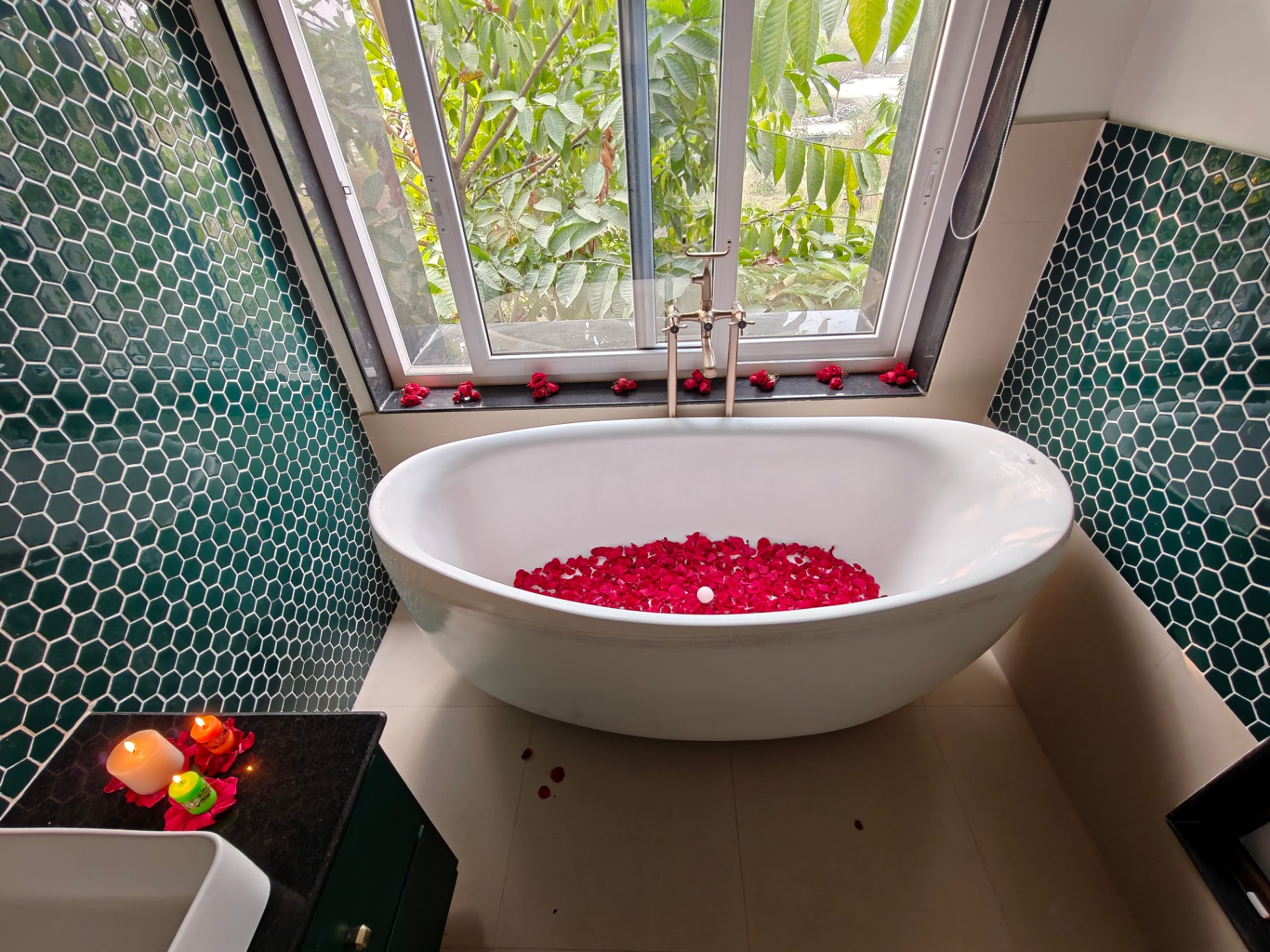 Bathtub with rose petals beside a garden window